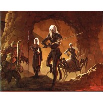 Ecran du Maître (jdr Dungeons & Dragons 4 en VF)