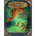 Le Bastion des Ames Damnées (jdr Dungeons & Dragons 3.0 et 3.5) 005