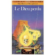 317 - Le Dieu perdu (Un livre dont vous êtes le Héros - Gallimard)