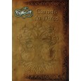 Carnets du Héros (jdr Yggdrasill en VF) 002