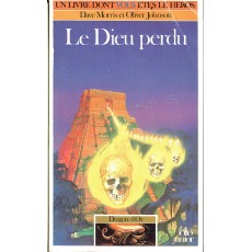 317 - Le Dieu perdu (Un livre dont vous êtes le Héros - Gallimard)