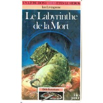 272 - Le Labyrinthe de la Mort (Un livre dont vous êtes le Héros - Gallimard)