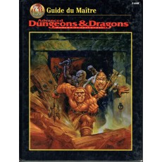 Guide du Maître (jdr AD&D 2ème édition révisée en VF)