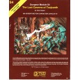 S4 The Lost Caverns of Tsojcanth (jdr AD&D 1ère édition en VO) 001