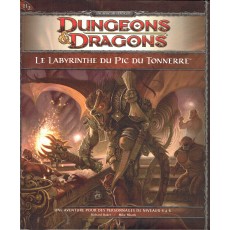 H2 Le Labyrinthe du Pic du Tonnerre (jdr Dungeons & Dragons 4 en VF)