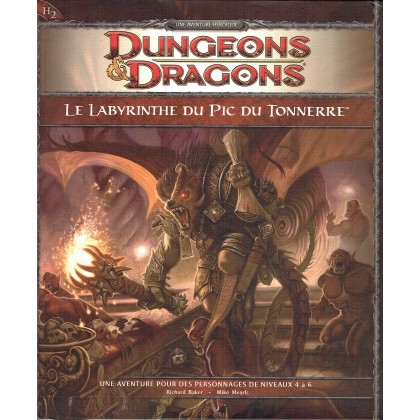 H2 Le Labyrinthe du Pic du Tonnerre (jdr Dungeons & Dragons 4 en VF) 005