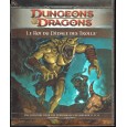 P1 Le Roi du Dédale des Trolls (jdr Dungeons & Dragons 4 en VF) 006