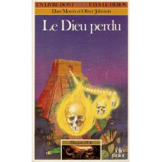 317 - Le Dieu perdu (Un livre dont vous êtes le Héros - Gallimard)
