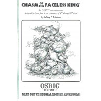 Chasm of the Faceless King - Exemplaire numéroté (jdr pour OSRIC System en VO) 001