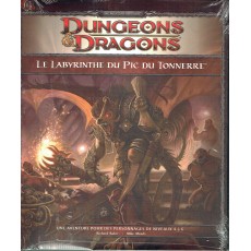 H2 Le Labyrinthe du Pic du Tonnerre (jdr Dungeons & Dragons 4 en VF)