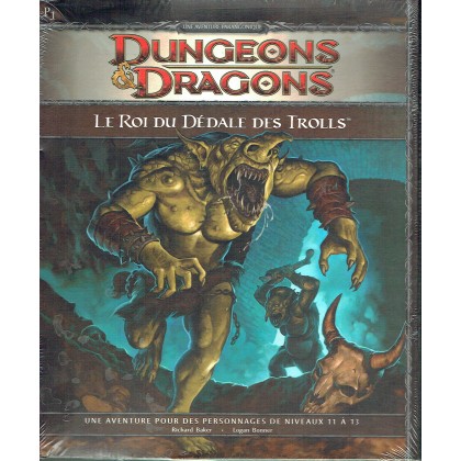P1 Le Roi du Dédale des Trolls (jdr Dungeons & Dragons 4 en VF) 008