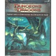 P3 Assaut sur la Forteresse du Dragon de Nuit (jdr Dungeons & Dragons 4 en VF) 009