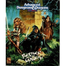 REF6 Rogues' Gallery (jdr AD&D 2e édition en VO)