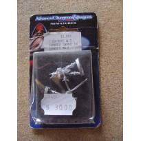 Fighters with 2-Handed Sword in Banded Mail (blister figurines AD&D Miniatures de Ral Partha)