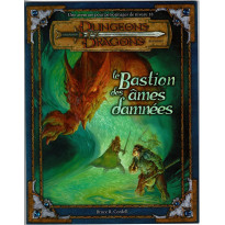 Le Bastion des Ames Damnées (jdr Dungeons & Dragons 3.0 et 3.5 en VF)