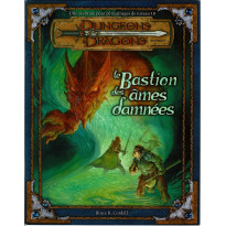 Le Bastion des Ames Damnées (jdr Dungeons & Dragons 3.0 et 3.5 en VF)