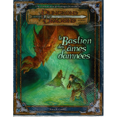 Le Bastion des Ames Damnées (jdr Dungeons & Dragons 3.0 et 3.5 en VF)