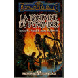 La Fontaine de Pénombre (roman Les Royaumes Oubliés en VF) 002