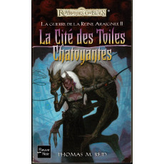 La Cité des Toiles Chatoyantes (roman Les Royaumes Oubliés en VF)