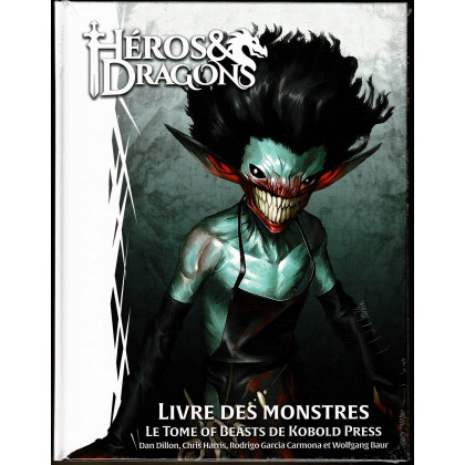 Héros & Dragons - Livre des Monstres (jdr de Black Book en VF) 001