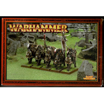 Chevaliers du Chaos (boîte de figurines Warhammer en VF)