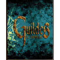 Guildes Eldorado - Ecran de jeu seul (jdr de Multisim en VF) 004