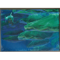 Aquablue - Livret Ecran (jdr de Studio Deadcrows en VF)