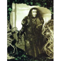 Ecran de jeu & Livret de scénario (jdr Obsidian en VF)