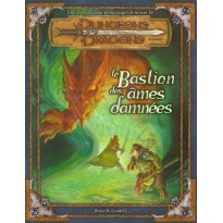 Le Bastion des Ames Damnées (jdr D&D 3.0 et 3.5)