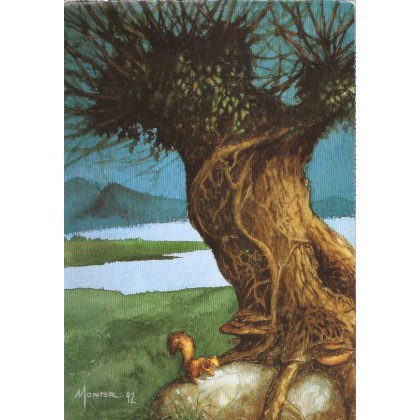 Ecran de jeu & livret (Pendragon Deuxième édition VF) 001