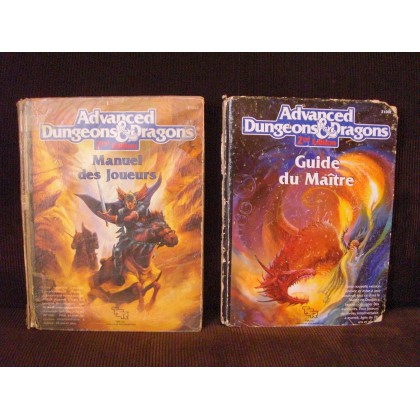 Lot Manuel des Joueurs & Guide du Maître (jdr AD&D 2ème édition en VF) L027