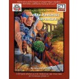 The Fantastic Adventure (d20 System /D&D 3 en VO) 001
