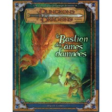 Le Bastion des Ames Damnées (jdr Dungeons & Dragons 3.0 et 3.5)