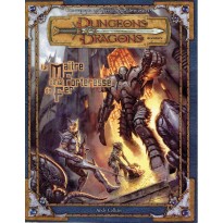 Le Maître de la Forteresse de Fer (jdr Dungeons & Dragons 3.0 et 3.5)